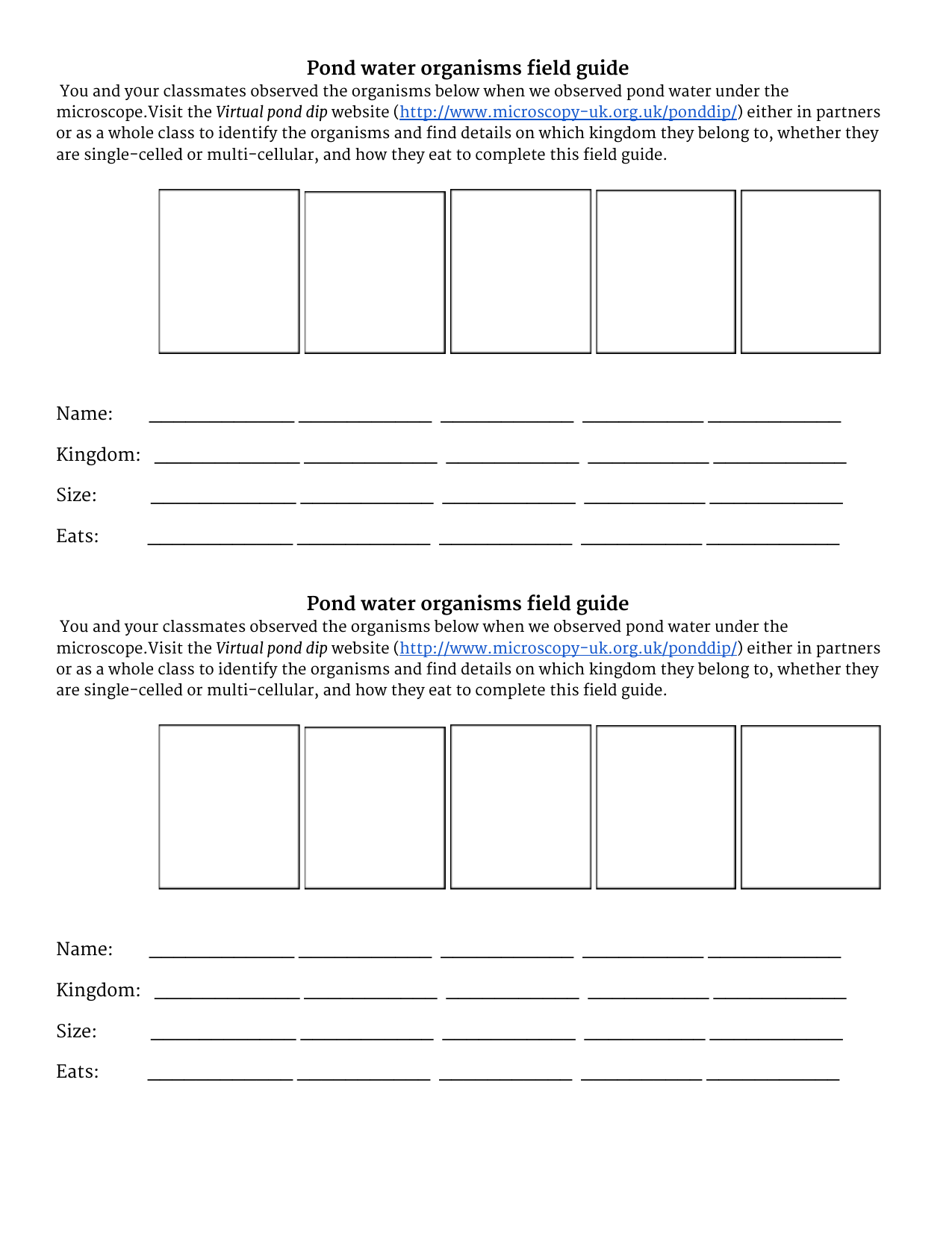 Pond Water Organisms Field Guide Microscopy Worksheet