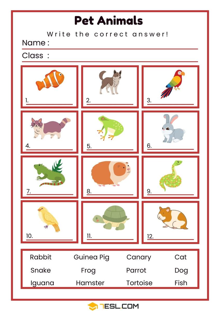 Free Kindergarten English Worksheet