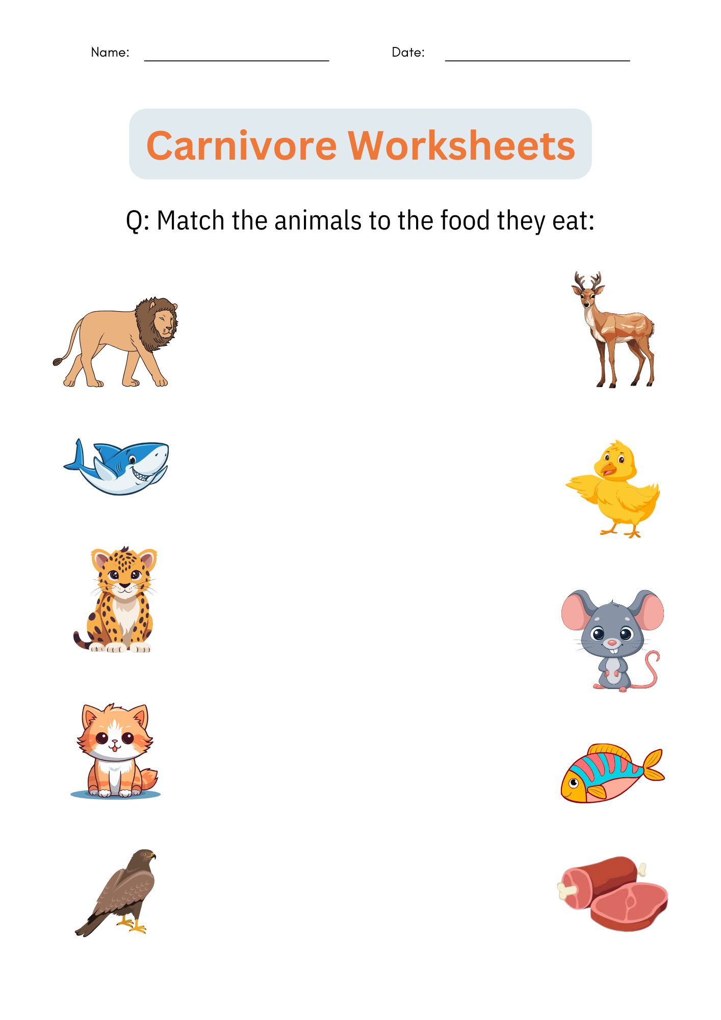 Printable Animal Classification Carnivore Worksheets Activities For Grade 1 2 Made By Teachers