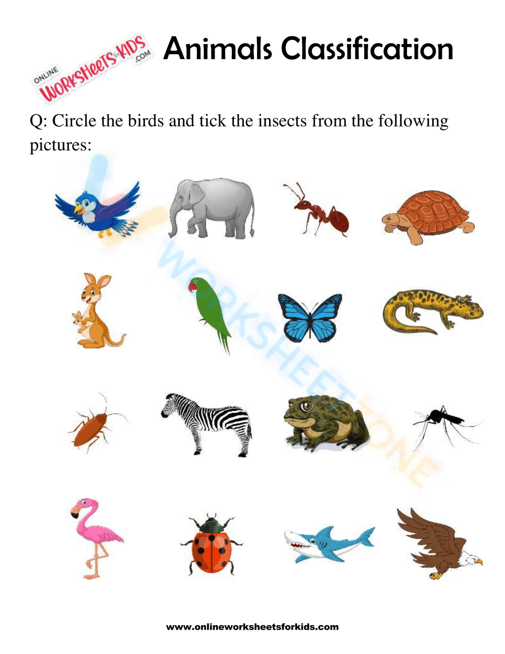 Printable Kindergarten Animal Classification Worksheets Download Printable Kindergarten Animal Classification Worksheets Download