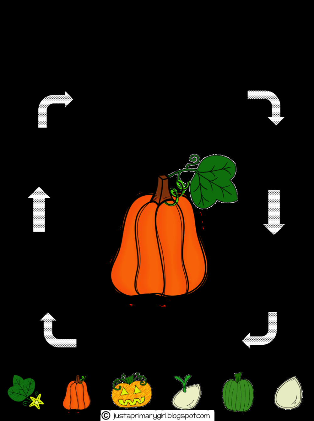 Printable Life Cycle Of A Pumpkin Printable Party Favors