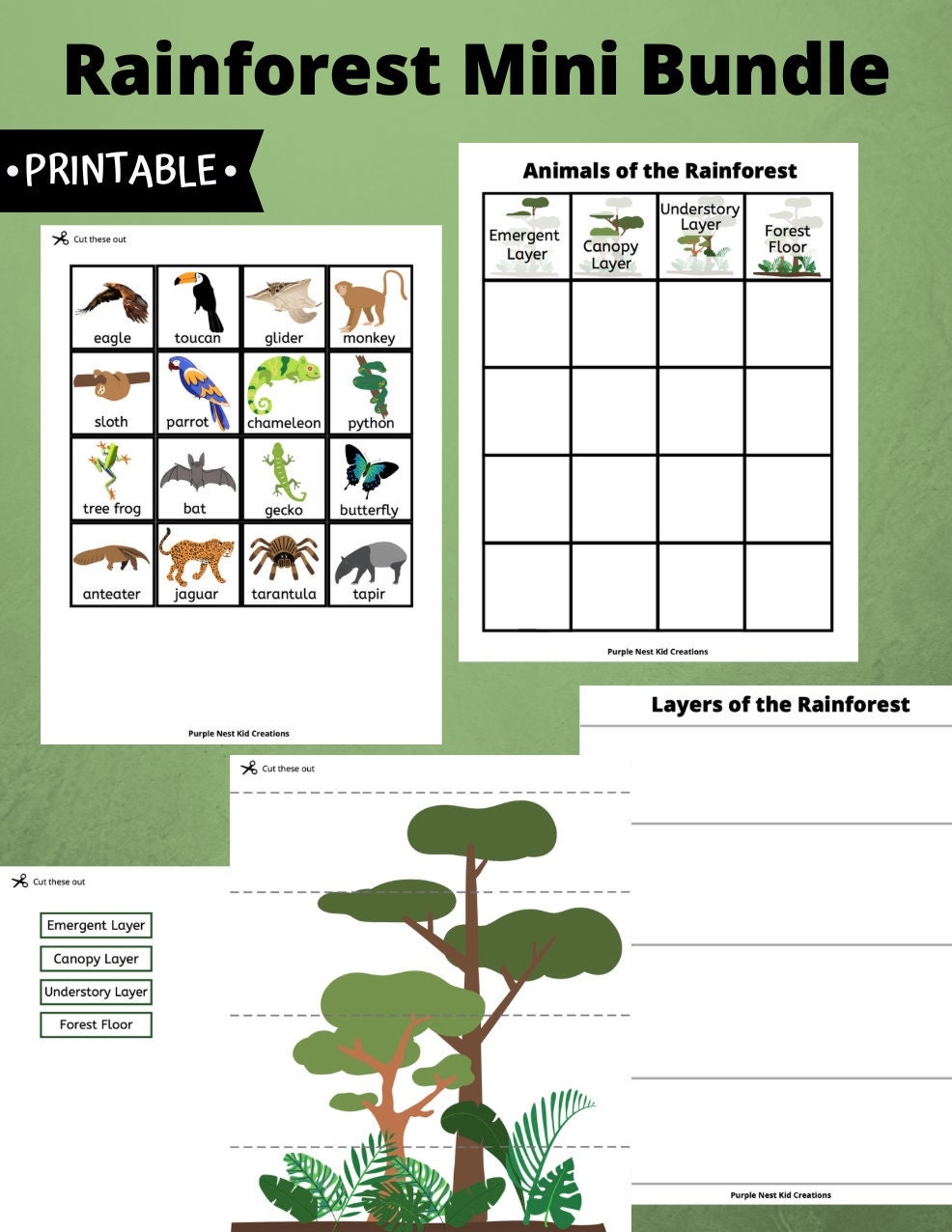 Rainforest Animals Layers Activity Educational Printable PDF Etsy Rainforest Animals Layers Activity Educational Printable PDF Etsy
