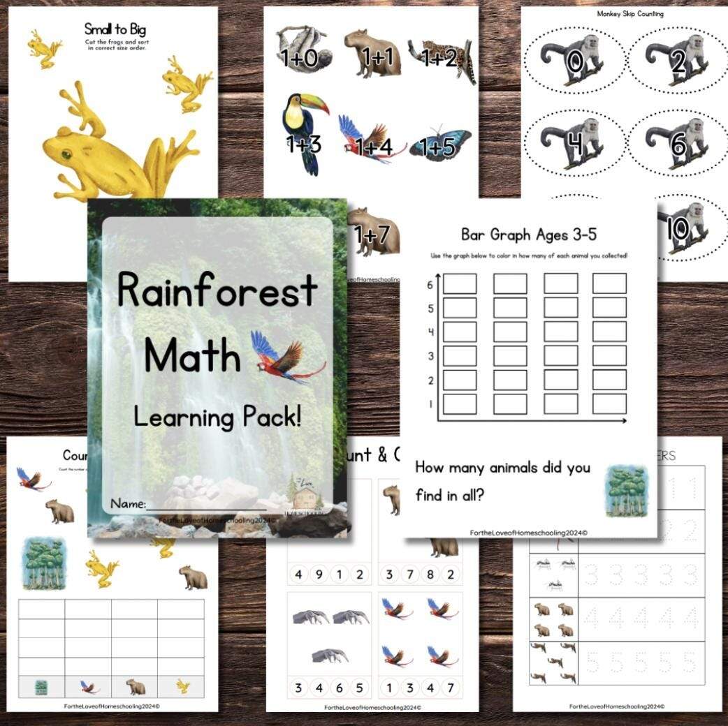 Rainforest Math Pack Etsy