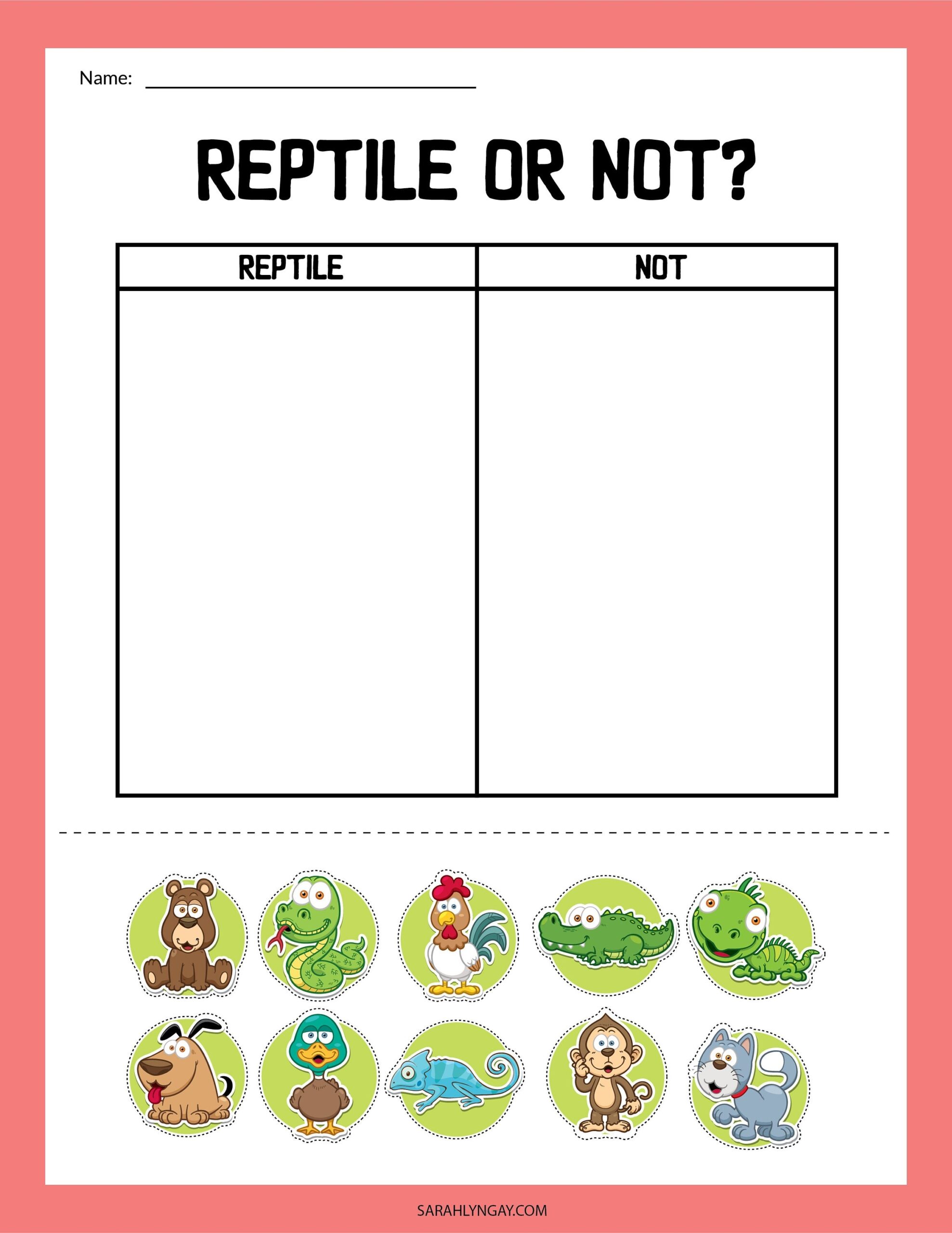 Reptiles All About Reptiles Digital Download Instant Download Kid S Worksheet STEM Worksheets Etsy