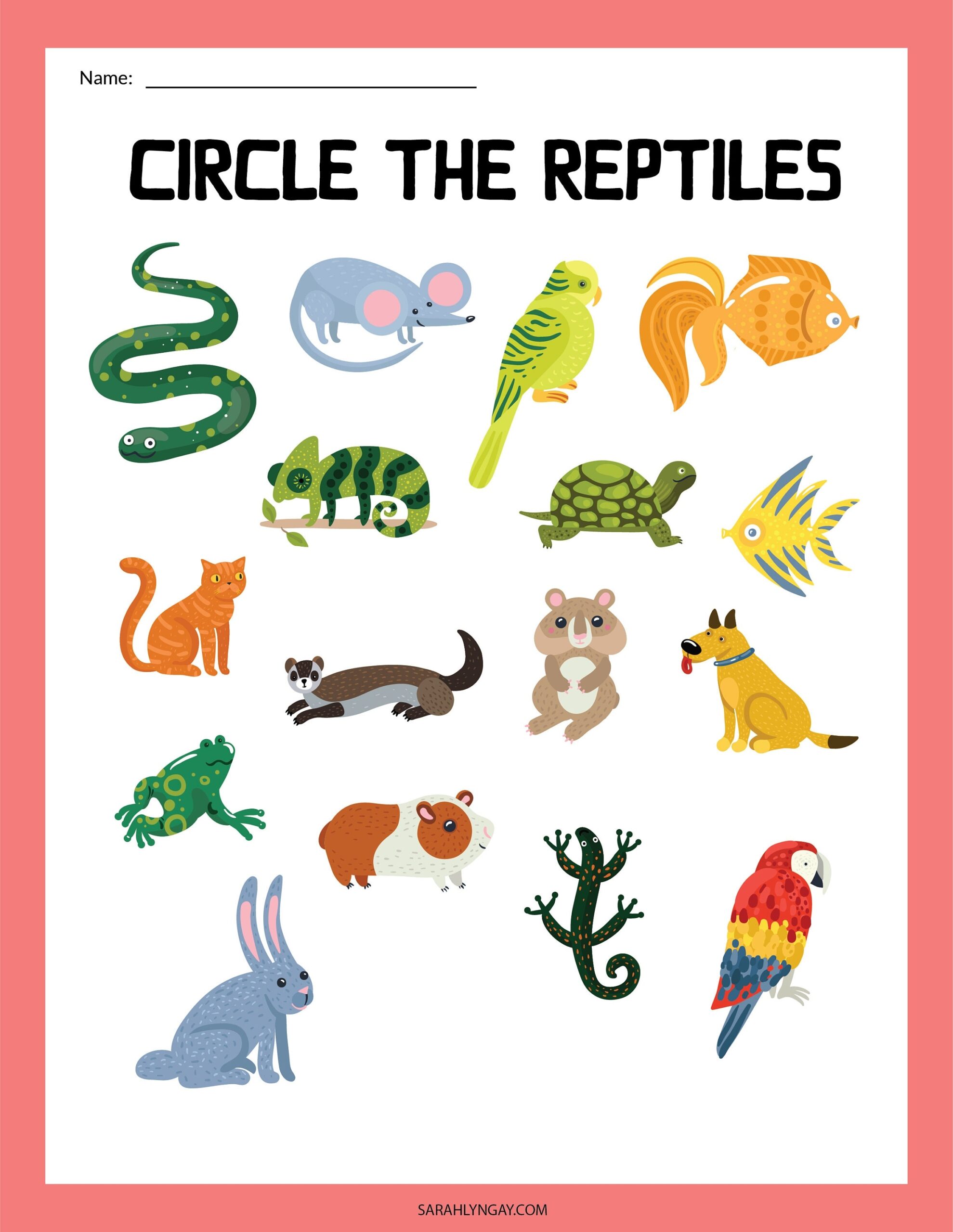 Reptiles All About Reptiles Digital Download Instant Download Kid S Worksheet STEM Worksheets Etsy