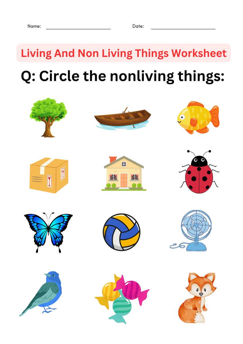 Science Living And Non Living Things Worksheet For Grade 1 2 3 4 Made By Teachers Science Living And Non Living Things Worksheet For Grade 1 2 3 4 Made By Teachers