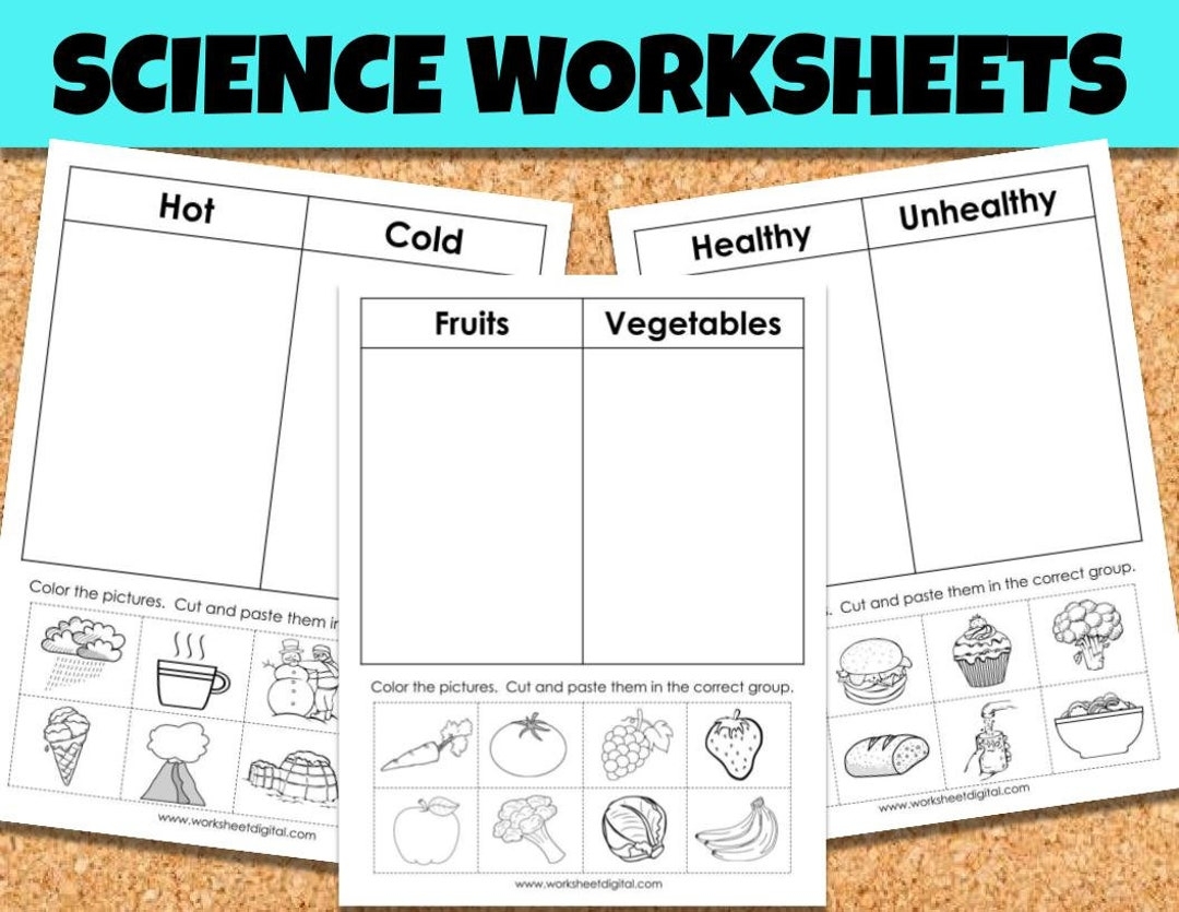 Science Sorting Worksheets Kindergarten Primary School PDF Etsy