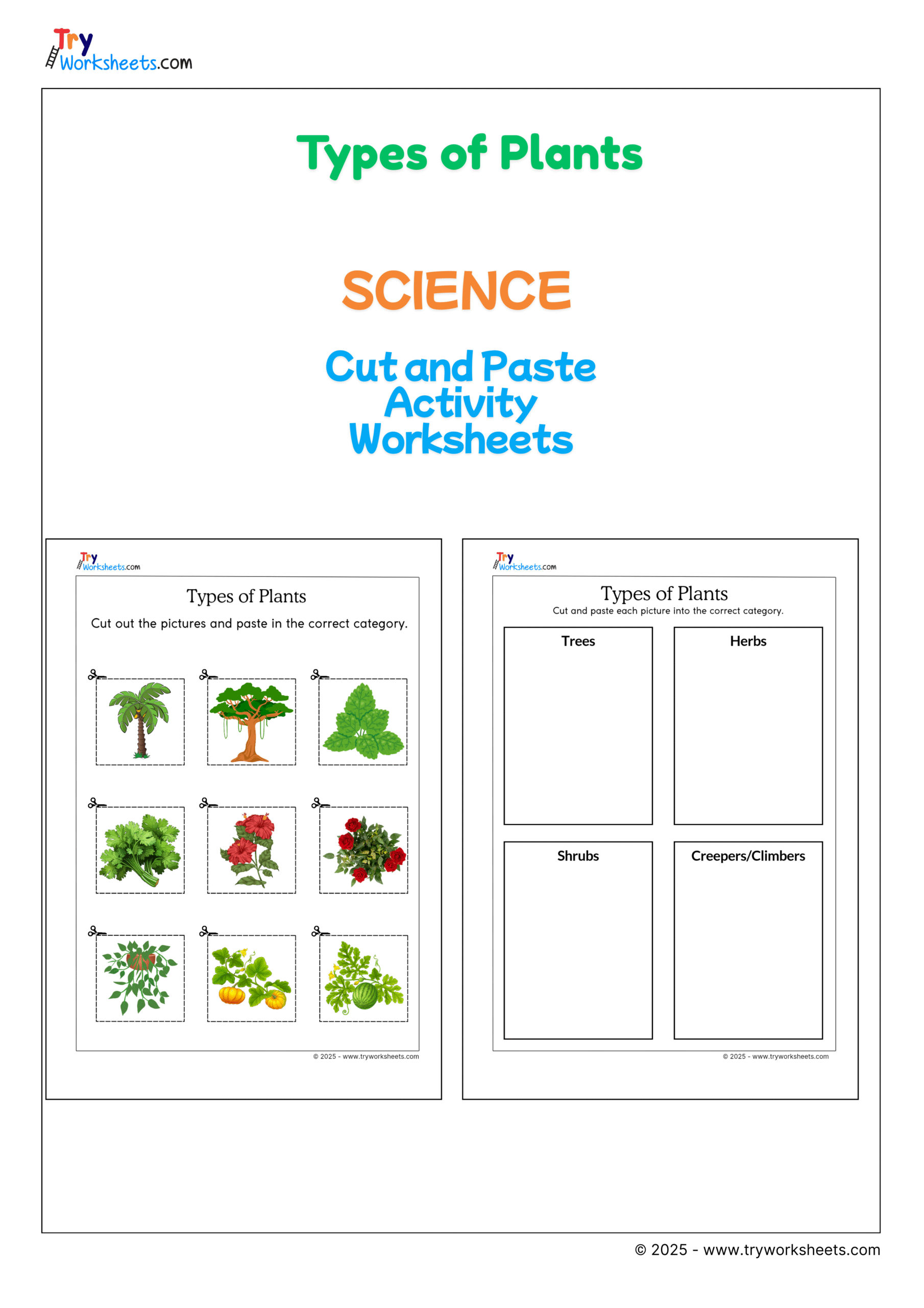 Science Types Of Plants Cut And Paste Worksheet Fun Activity For Kids Try Worksheets Science Types Of Plants Cut And Paste Worksheet Fun Activity For Kids Try Worksheets
