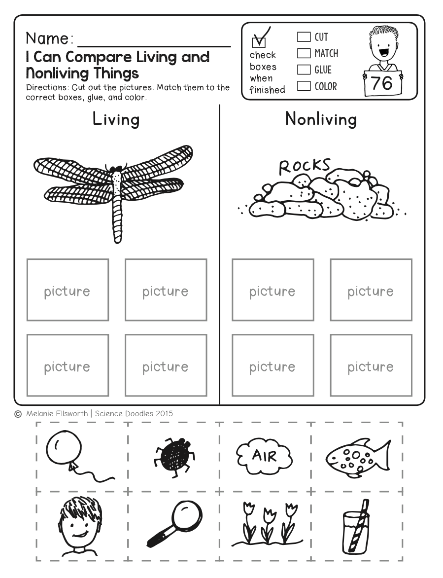 Science Sorting Worksheets Kindergarten Grade One Hot Or Cold Light Or Heavy States Of Matter Solid Liquid Gas Etsy Norway