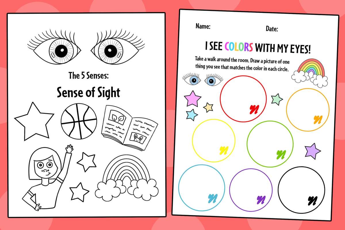 Sense Of Sight Worksheets For Preschool The Hollydog Blog Sense Of Sight Worksheets For Preschool The Hollydog Blog