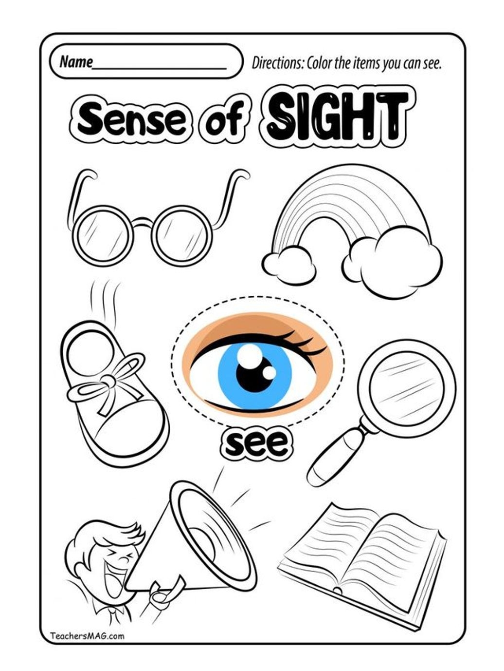 Sense Of Sight