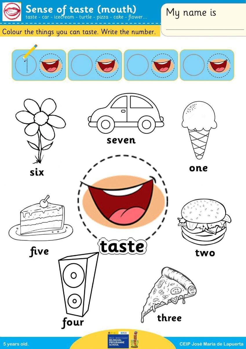 Sense Of Taste Exercise Worksheets Library Sense Of Taste Exercise Worksheets Library