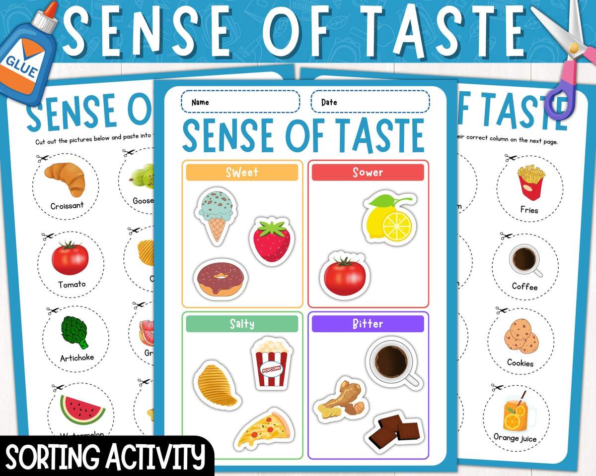 Sense Of Taste Sorting Activity Sorting Food Based On Taste Activity Sheets Sense Of Taste Cut And Paste Printable Worksheets PDF Etsy Sense Of Taste Sorting Activity Sorting Food Based On Taste Activity Sheets Sense Of Taste Cut And Paste Printable Worksheets PDF Etsy