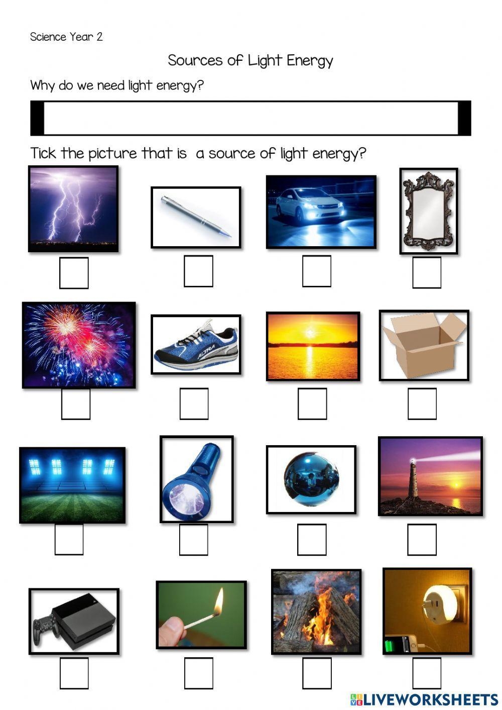 Sources Of Light Online Worksheet Worksheets Library