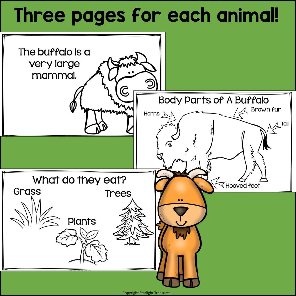 Grassland Animal Habitat Centers And Activities