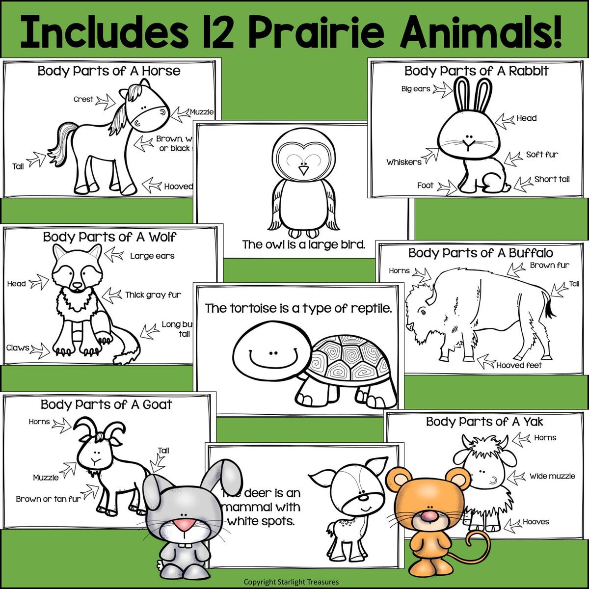 The Prairie Mini Book For Early Readers Prairie Animals Classful
