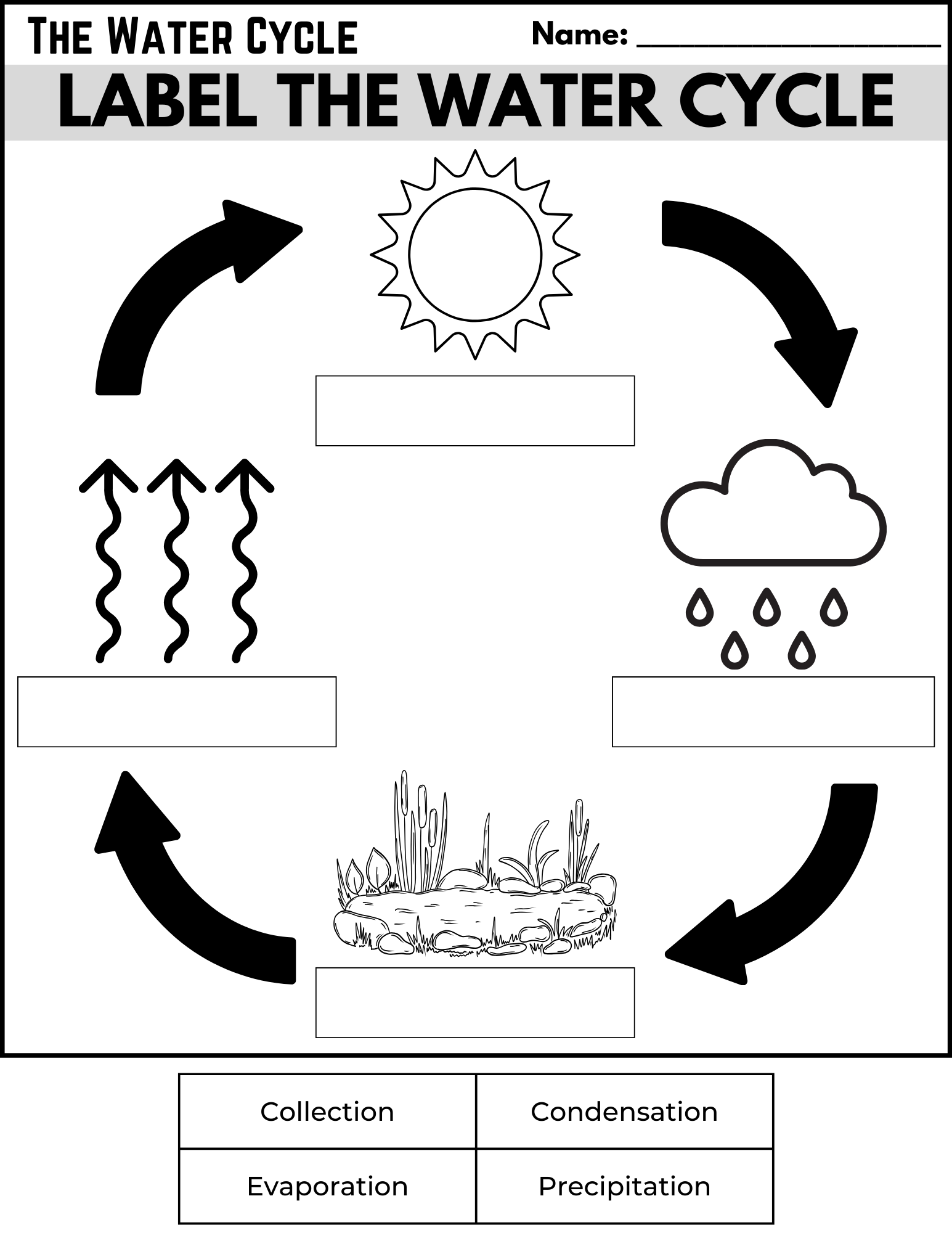 Water Forms Read And Choose Activity Free PDF Download Ezpzlearn