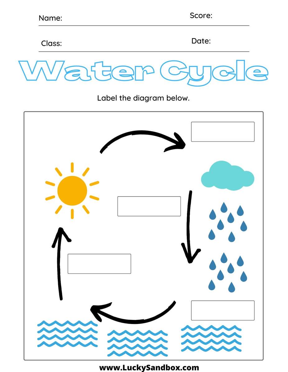 Water Cycle Worksheet Etsy Water Cycle Worksheet Etsy