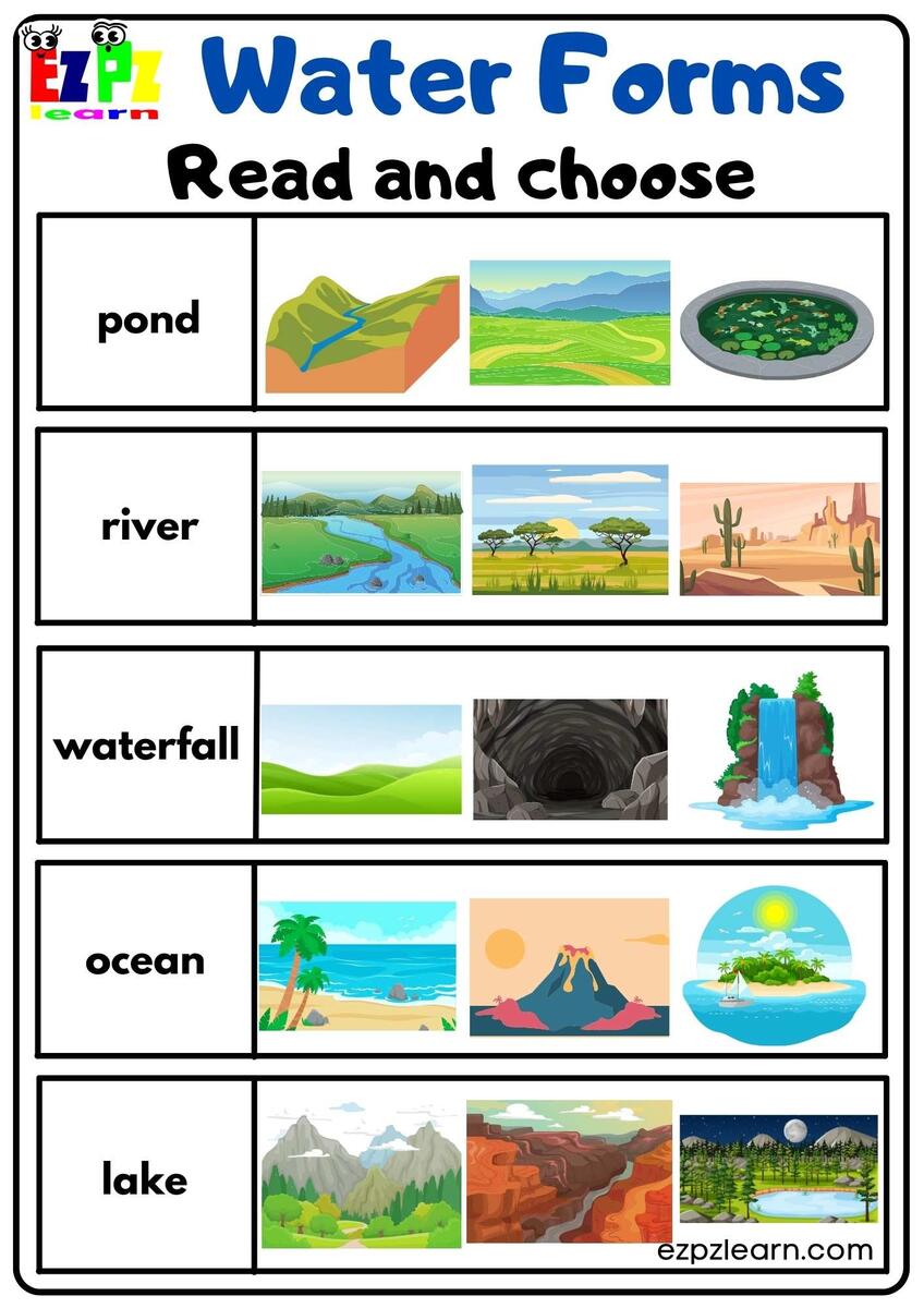 Water Forms Read And Choose Activity Free PDF Download Ezpzlearn