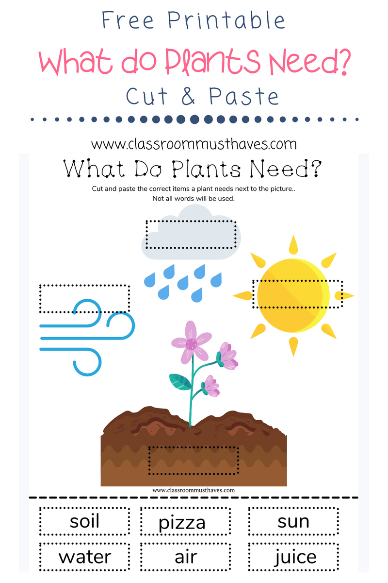 What Do Plants Need To Grow Worksheet Classroom Must Haves What Do Plants Need To Grow Worksheet Classroom Must Haves