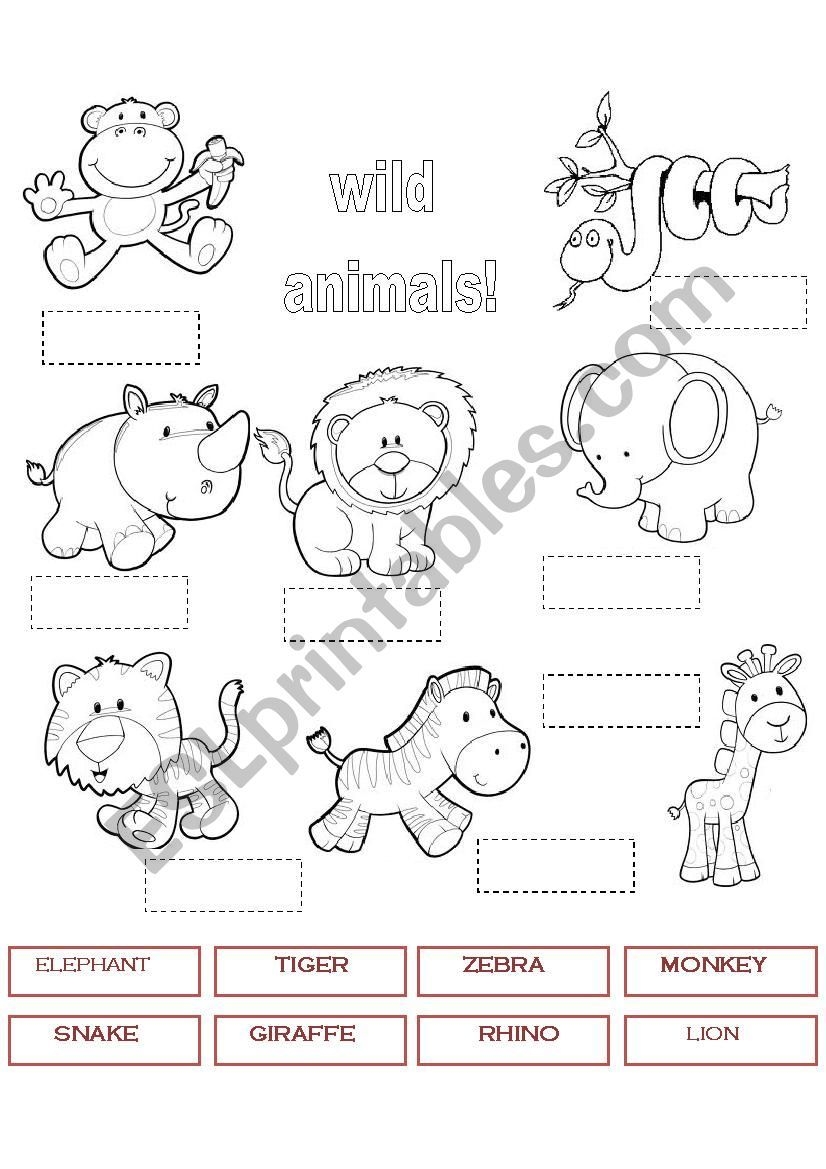 Wild Animals Number And Colour ESL Worksheet By Edurne Tudela Wild Animals Number And Colour ESL Worksheet By Edurne Tudela