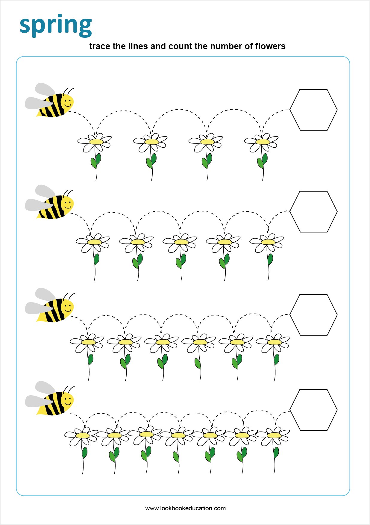 Worksheet Spring Bees Lookbook Education Life Cycle Of A Bee Worksheets Free Printables